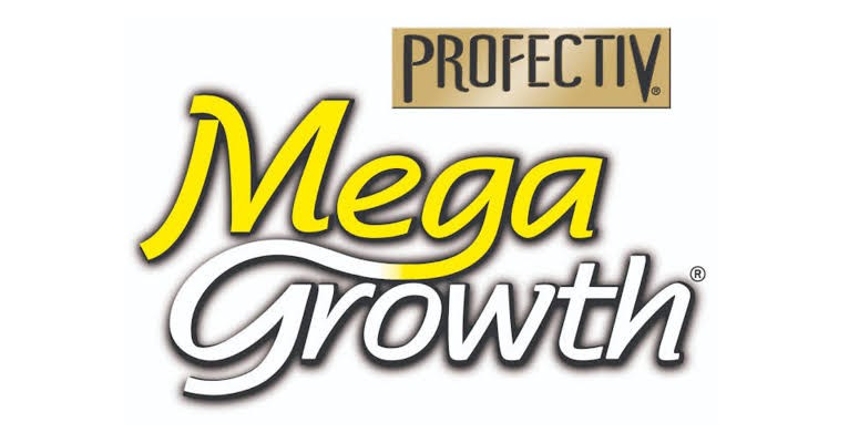 Mega Growth